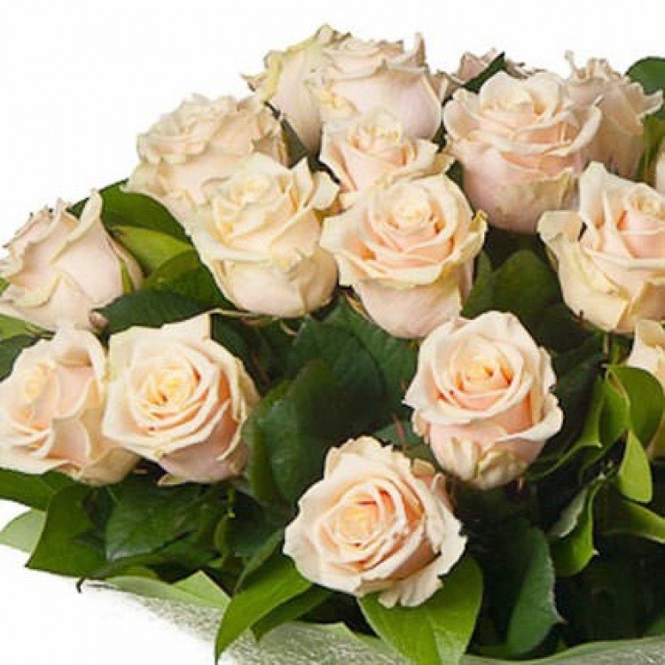 25 кремових троянд - image-1